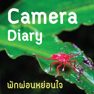Camera Diary