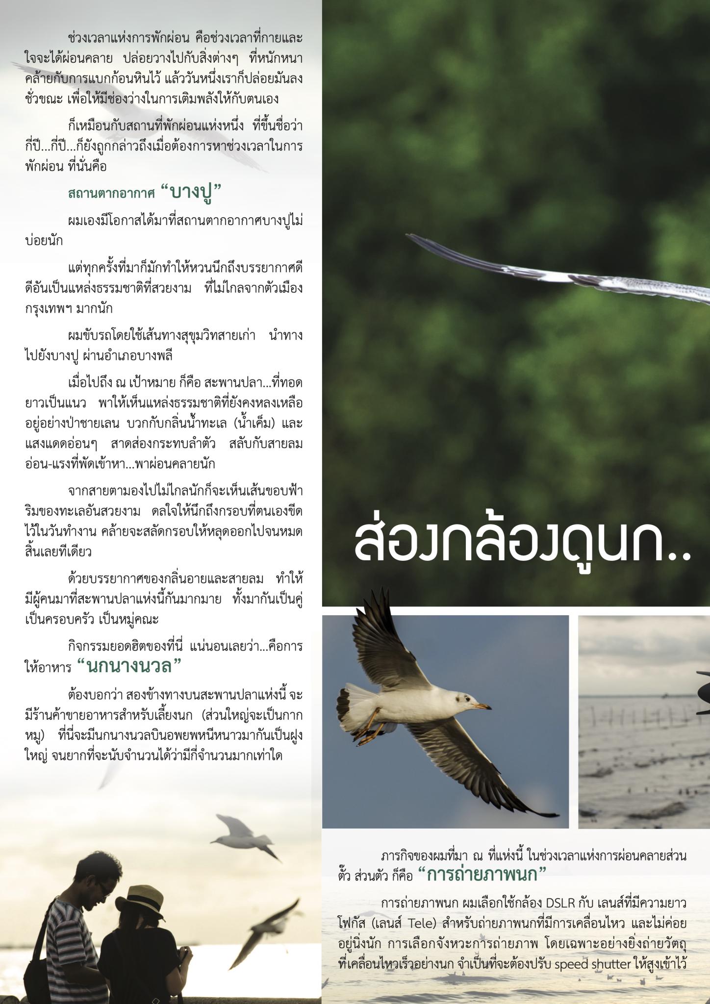 ส่องกล้องดูนก..ที่บางปู