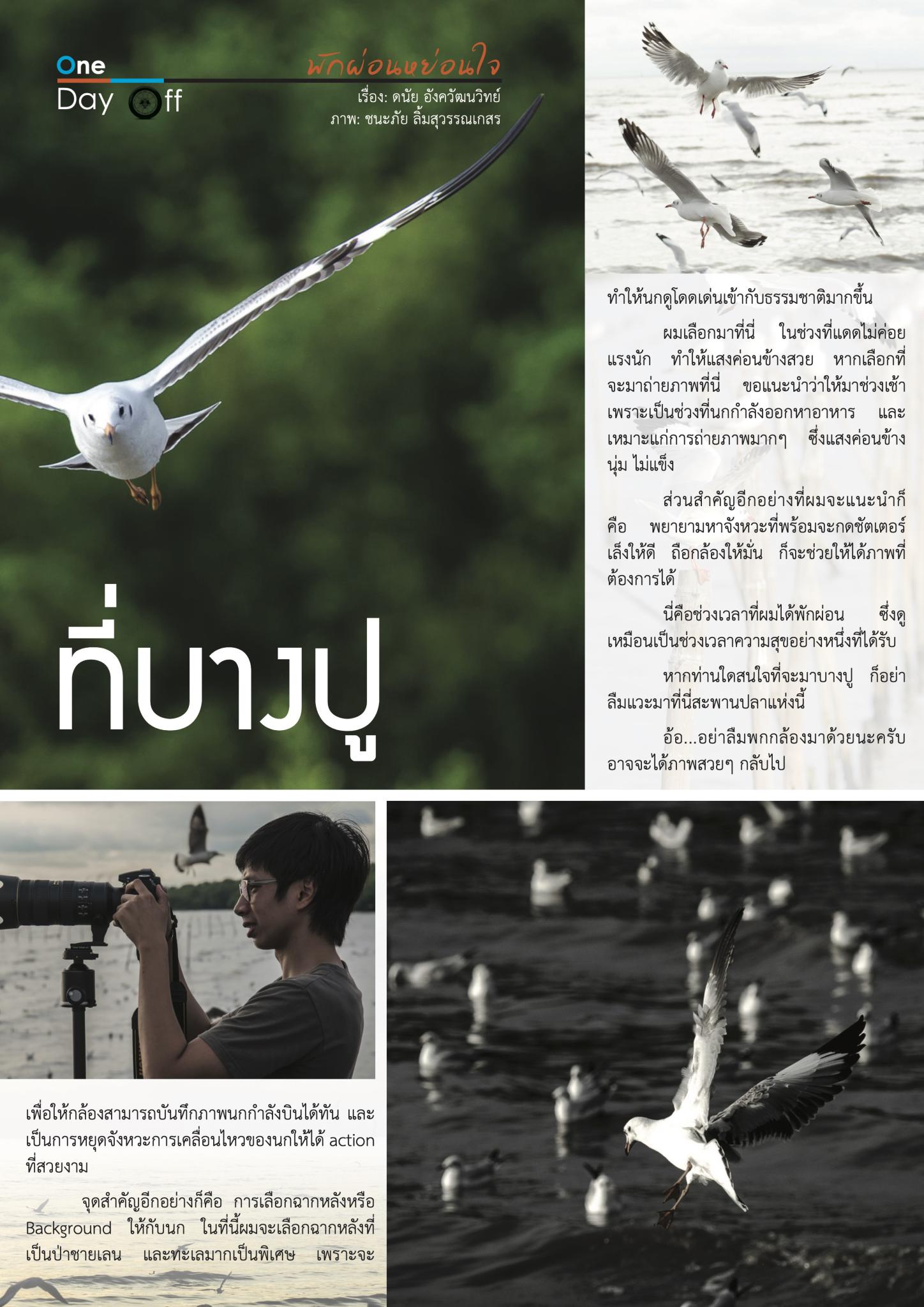 ส่องกล้องดูนก..ที่บางปู