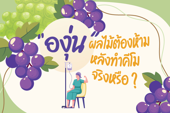 "องุ่น" ผลไม้ต้องห้ามหลังทำคีโมจริงหรือ ? "องุ่น" ผลไม้ต้องห้ามหลังทำคีโมจริงหรือ ?