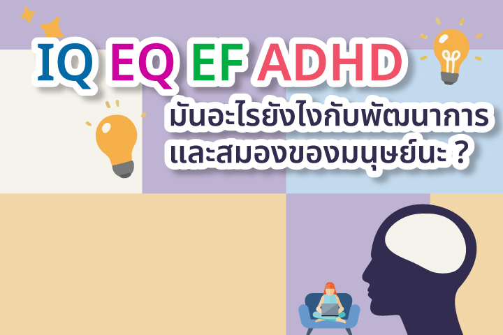 IQ EQ EF ADHD มันอะไรยังไงกับ พัฒนาการและสมองของมนุษย์นะ?