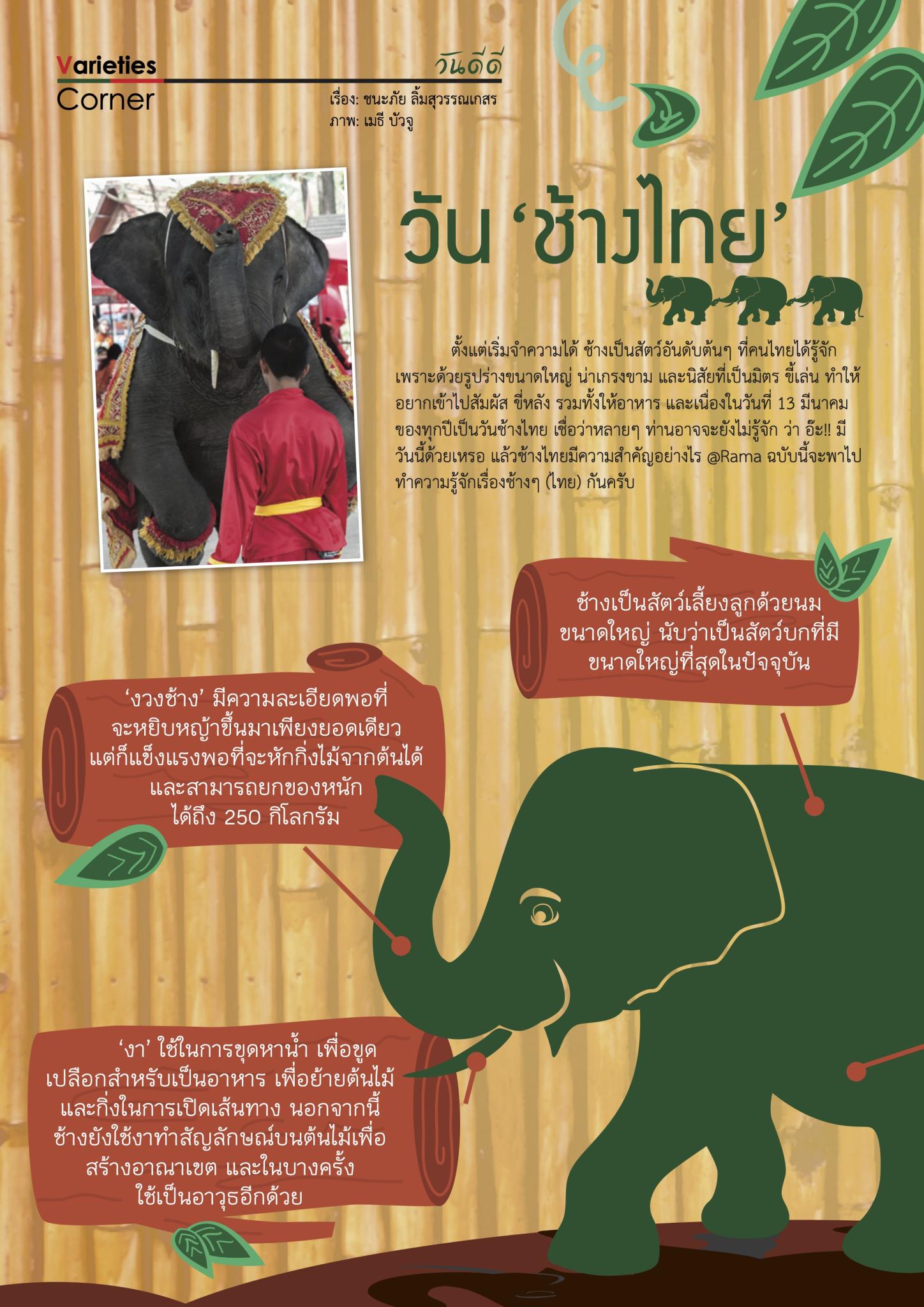 วัน ‘ช้างไทย’
