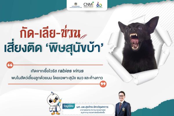 กัด เลีย ข่วน เสี่ยงติด "พิษสุนัขบ้า"