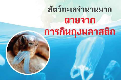 สัตว์ทะเลจำนวนมากตายจากการกินถุงพลาสติก
