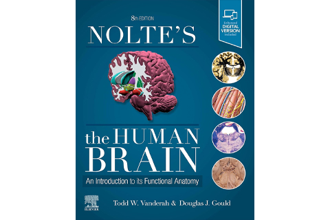 Nolte's The Human Brain, Eighth Edition