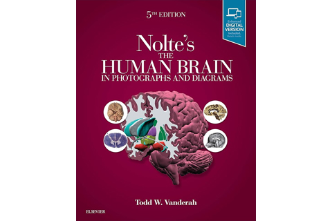 Nolte's The Human Brain in Photographs and Diagrams, Fifth Edition
