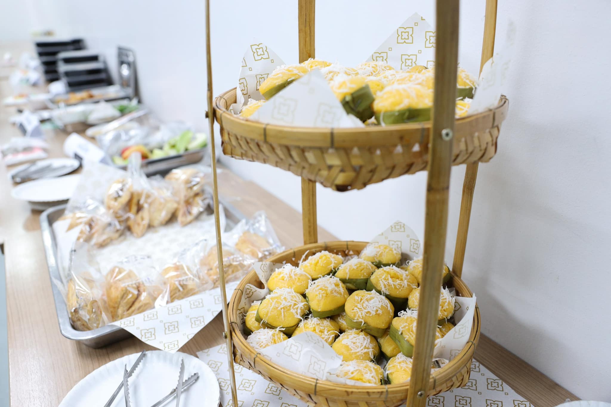The Cultural Night Party