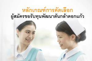 หลักเกณฑ์การคัดเลือกผู้สมัครขอรับทุนพัฒนาต้นกล้าดอกแก้ว