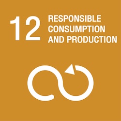 Banner link for 12. RESPONSIBLE CONSUMPTION AND PRODUCTION