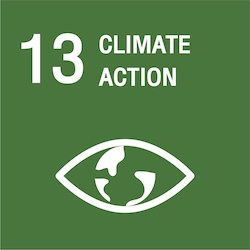 Banner link for 13. CLIMATE ACTION