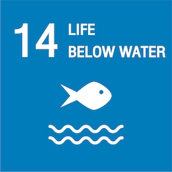 Banner link for 14. LIFE BELOW WATER