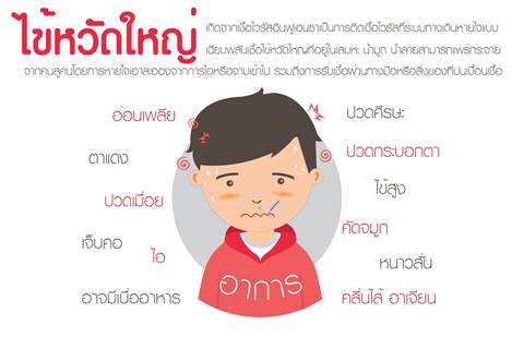 ไข้หวัดใหญ่