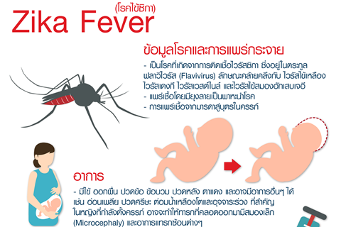 Zika Fever (โรคไข้ซิกา)