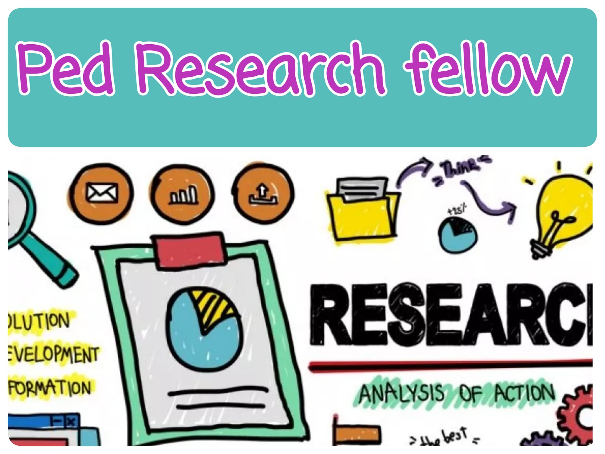 Research Fellow