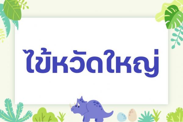 ไข้หวัดใหญ่