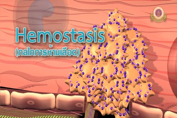 Hematasis