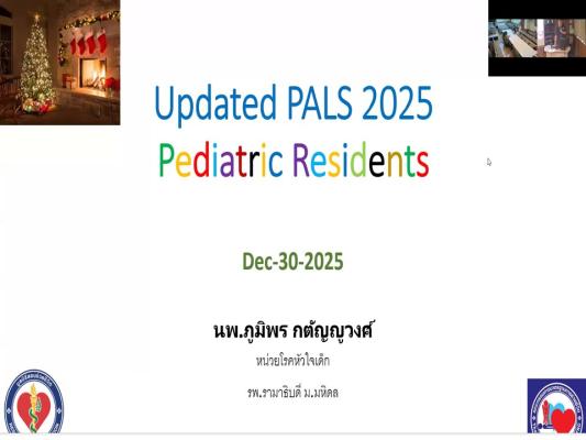 Update Pals 2025