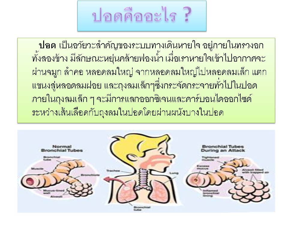 โรคปอดอักเสบ