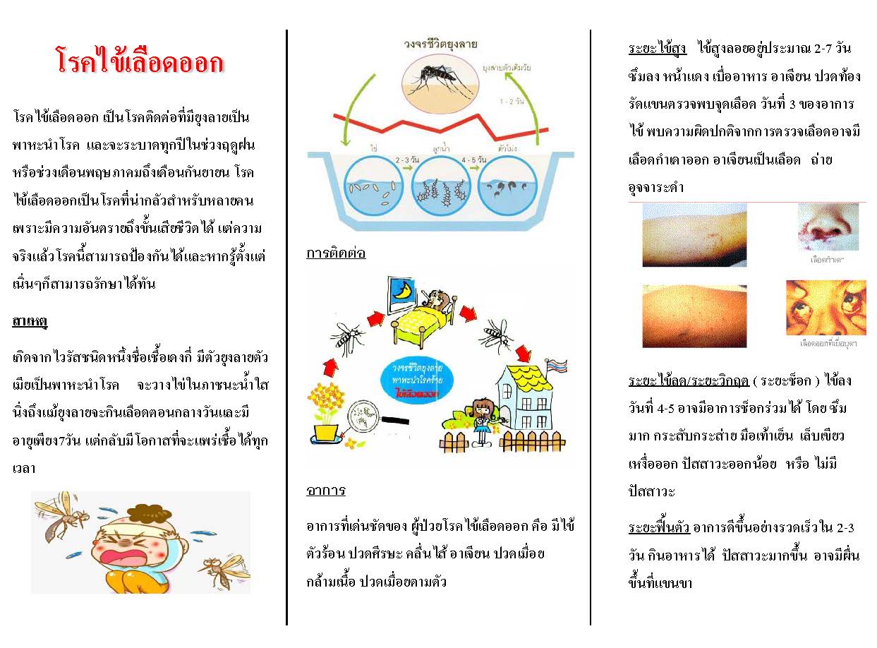 โรคไข้เลือดออก