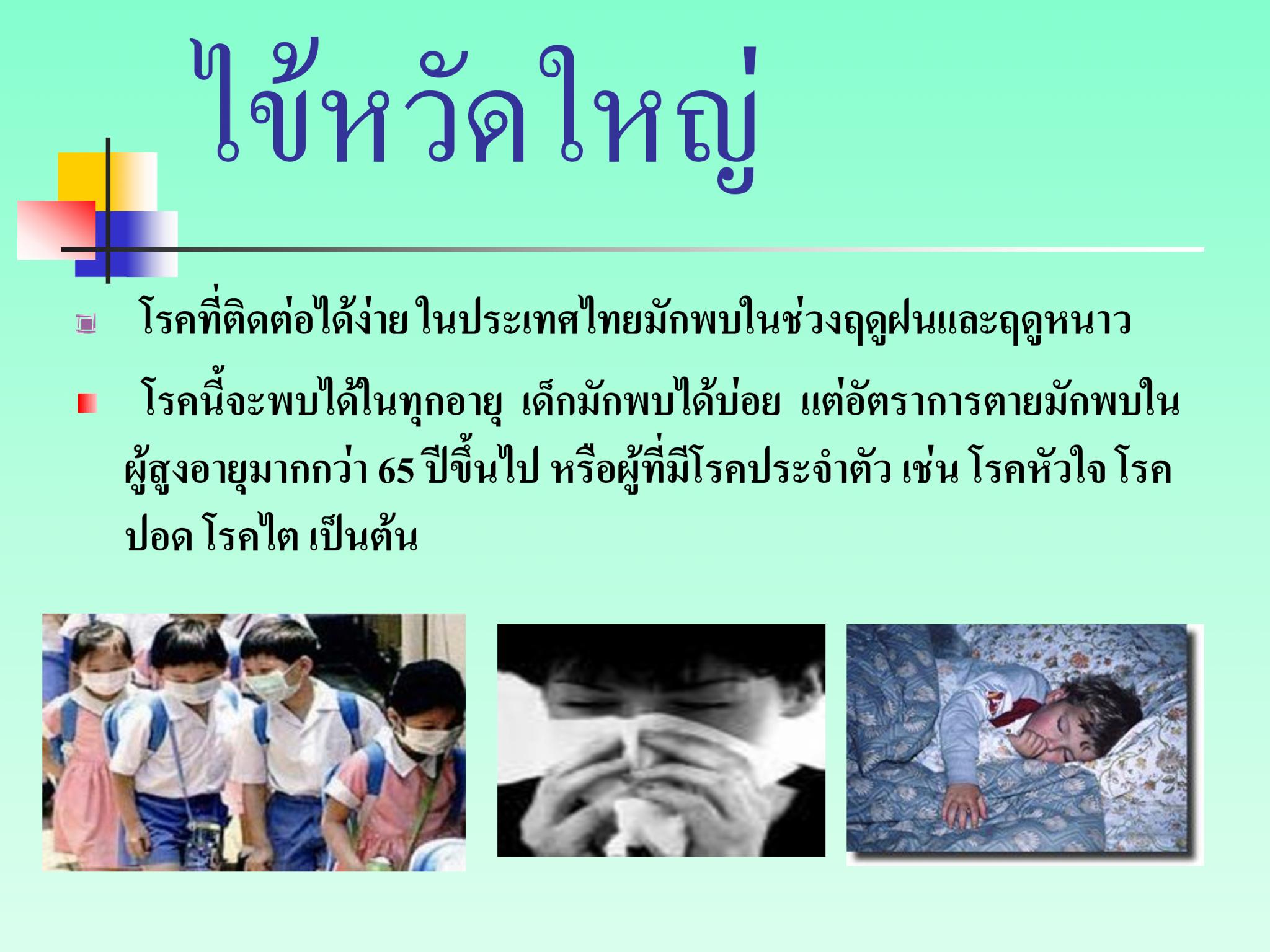 ไข้หวัดใหญ่