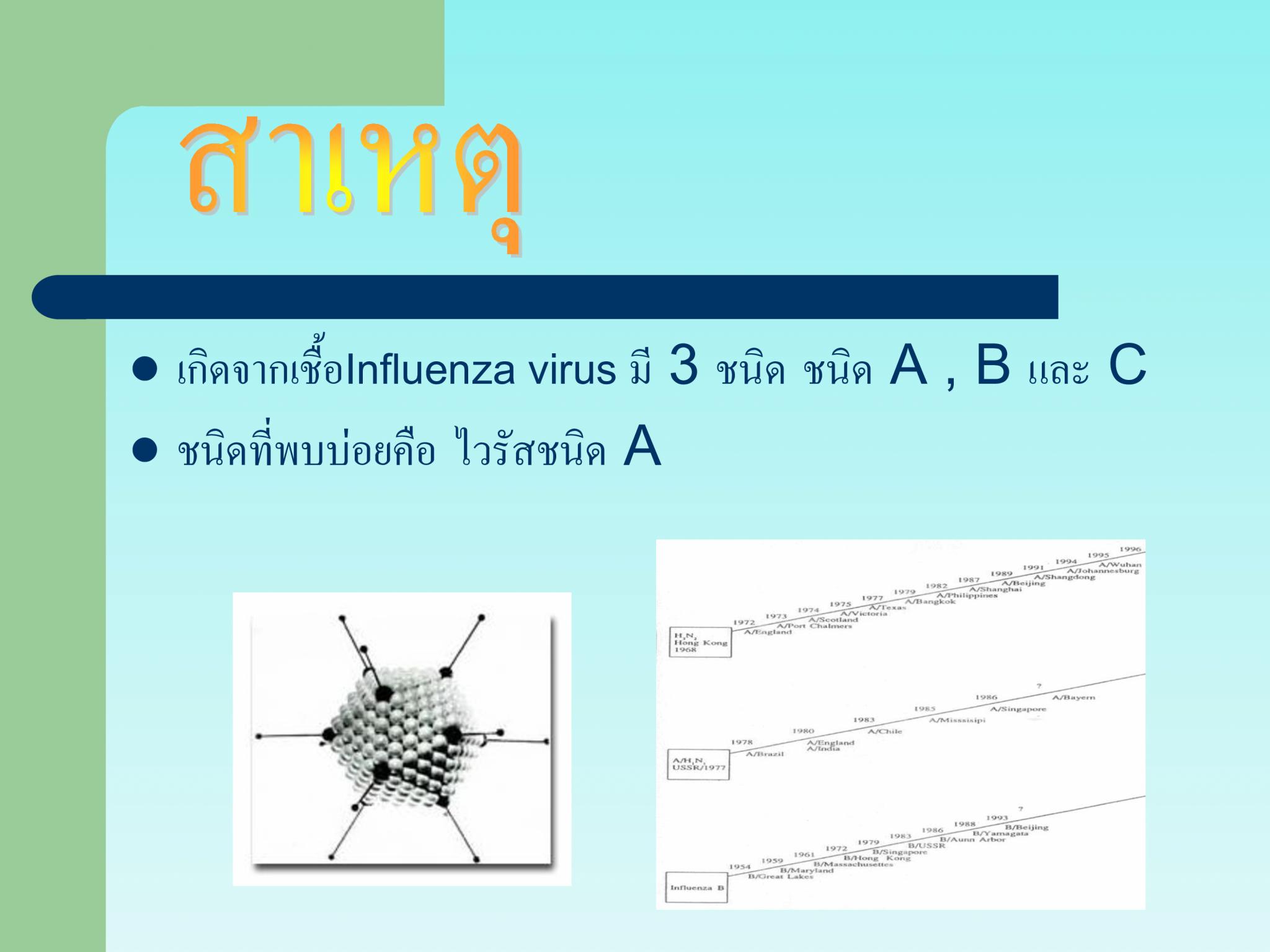 ไข้หวัดใหญ่