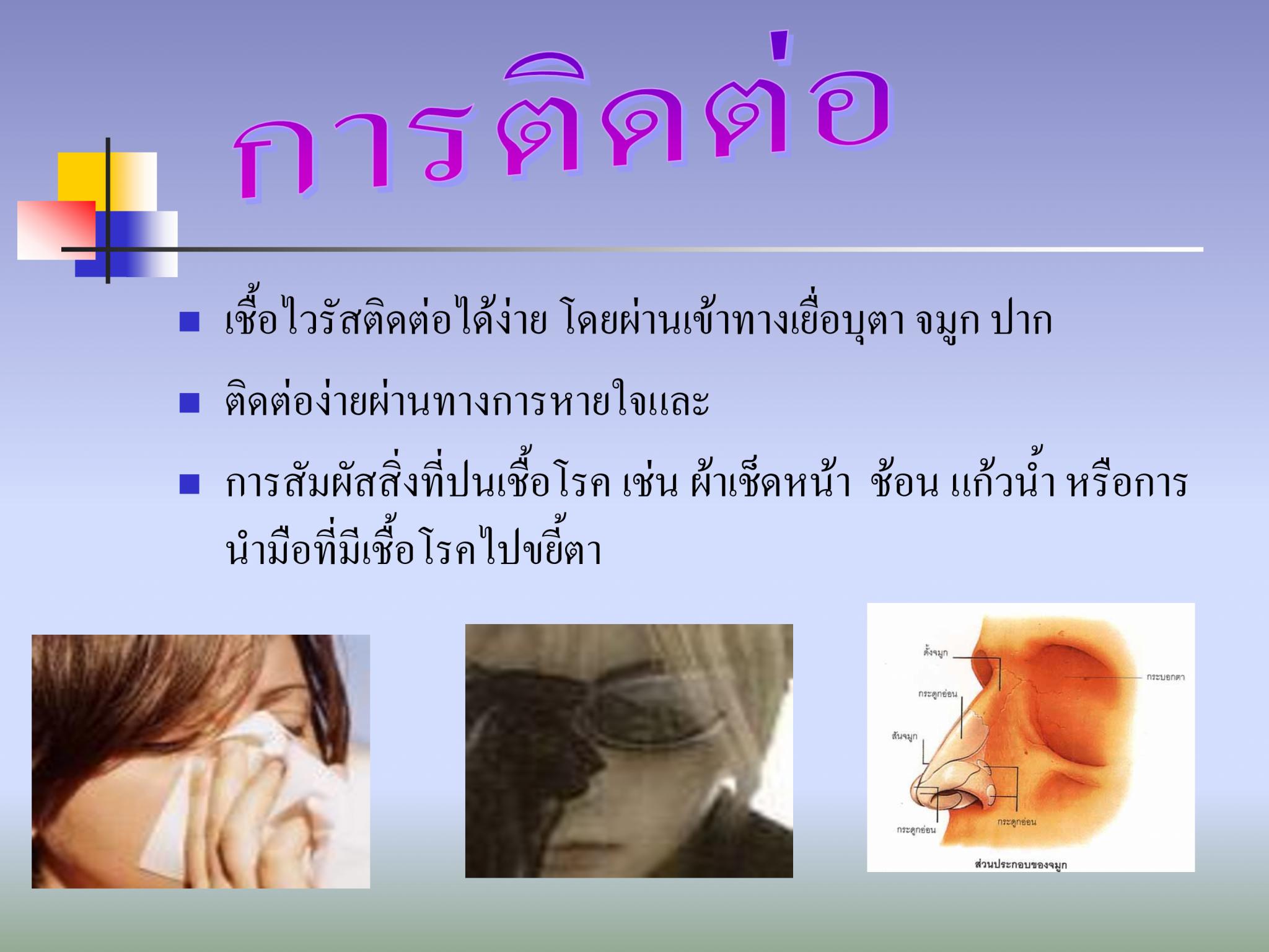 ไข้หวัดใหญ่