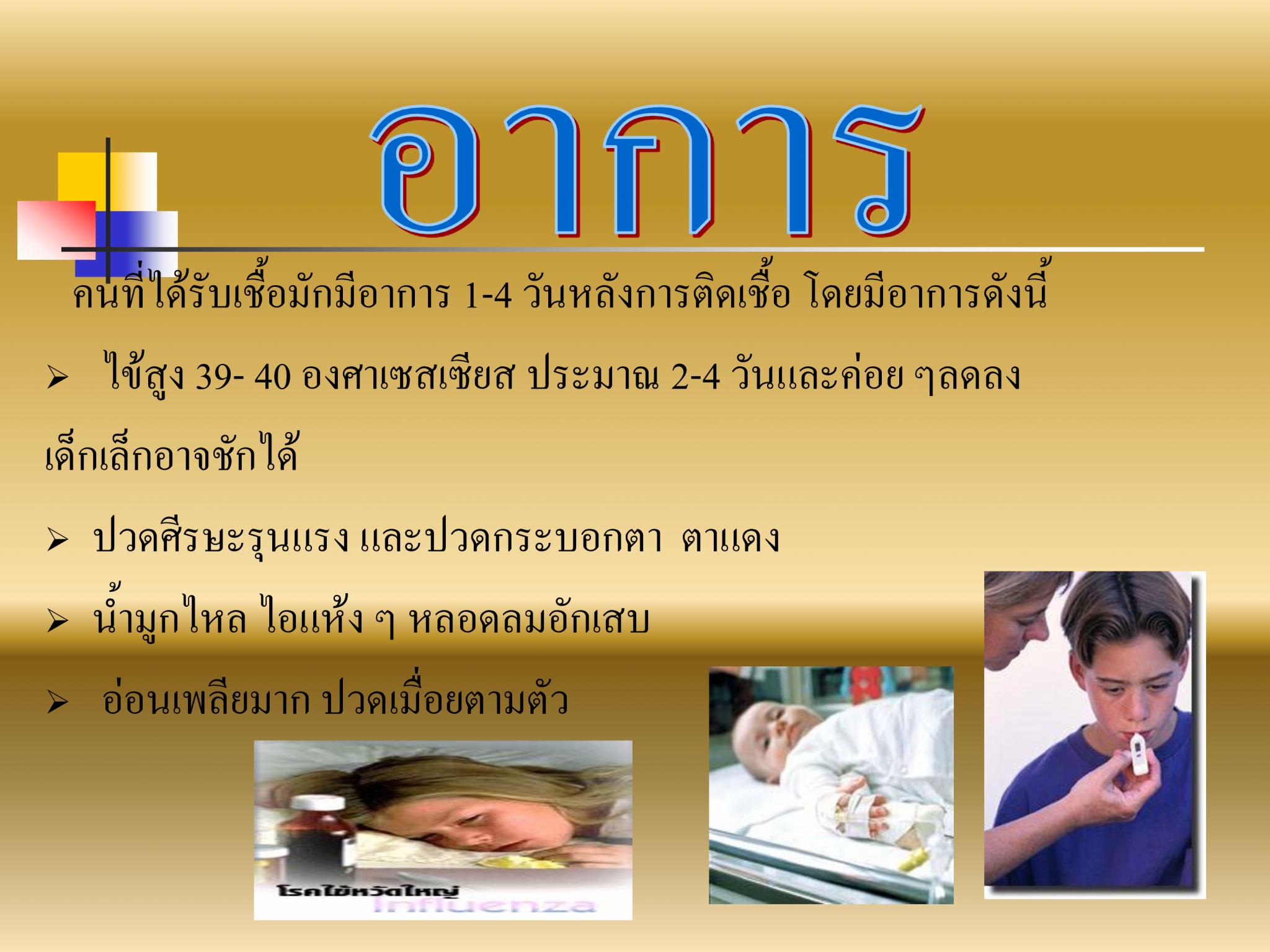 ไข้หวัดใหญ่