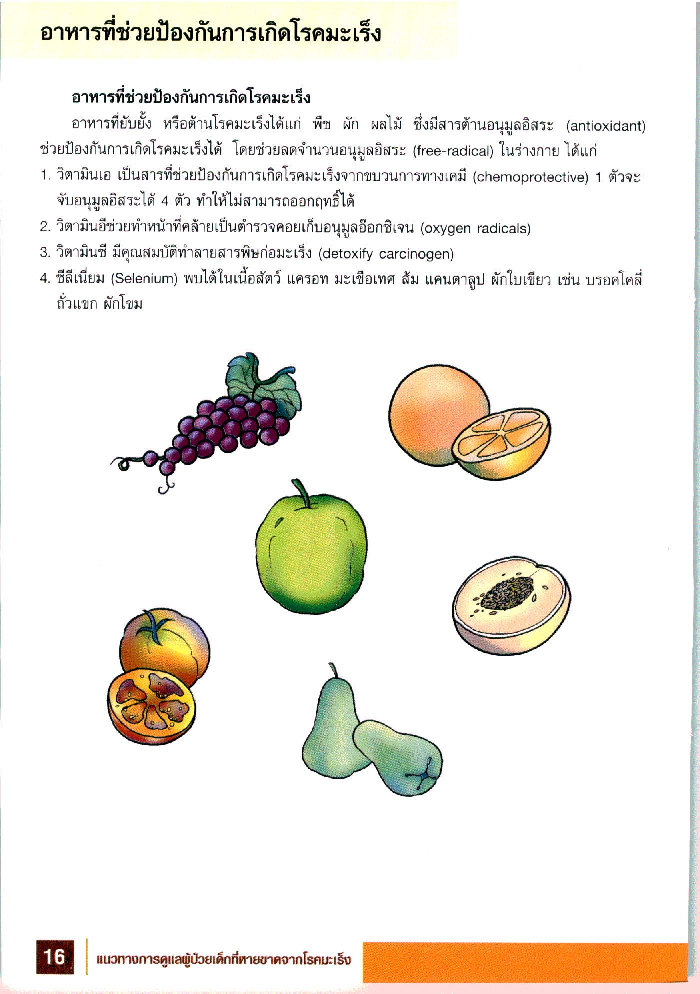 การดูแลผู้ป่วยเด็กที่หายขาดจากโรคมะเร็ง
