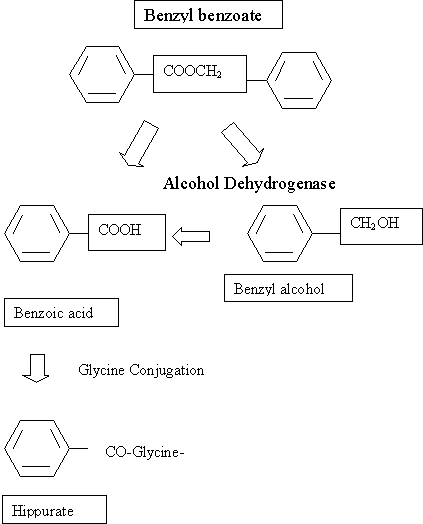 สูตรโครงสร้างของBenzyl