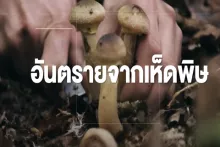 เด็กกินเห็ดพิษได้รับการช่วยเหลือ จากศูนย์พิษวิทยารามาธิบดี l RAMA CHANNEL