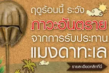 ภาวะอันตรายจากการรับประทานแมงดาทะเล