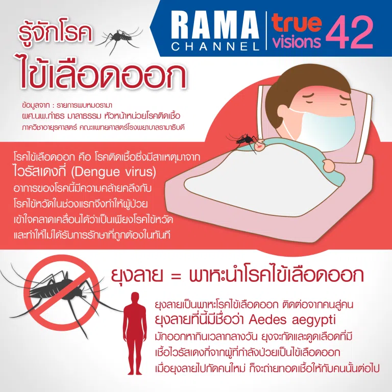รู้จักโรคไข้เลือดออก