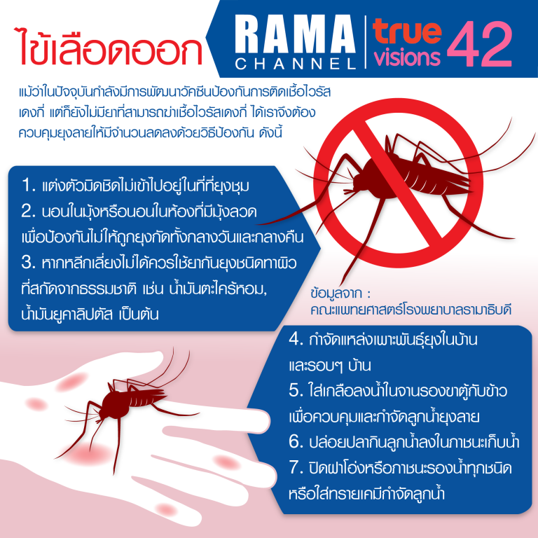 รู้จัก ไข้เลือดออก (ตอนที่ 2)
