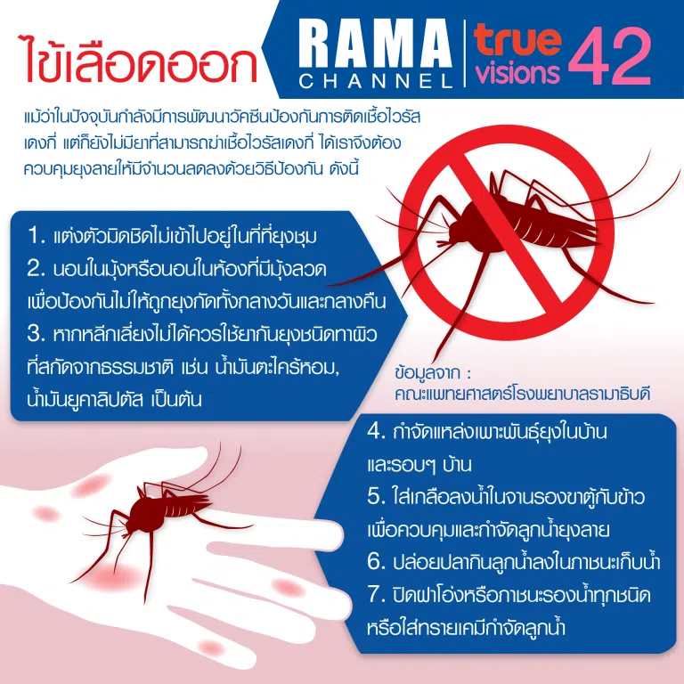 รู้จัก ไข้เลือดออก (ตอนที่ 2)