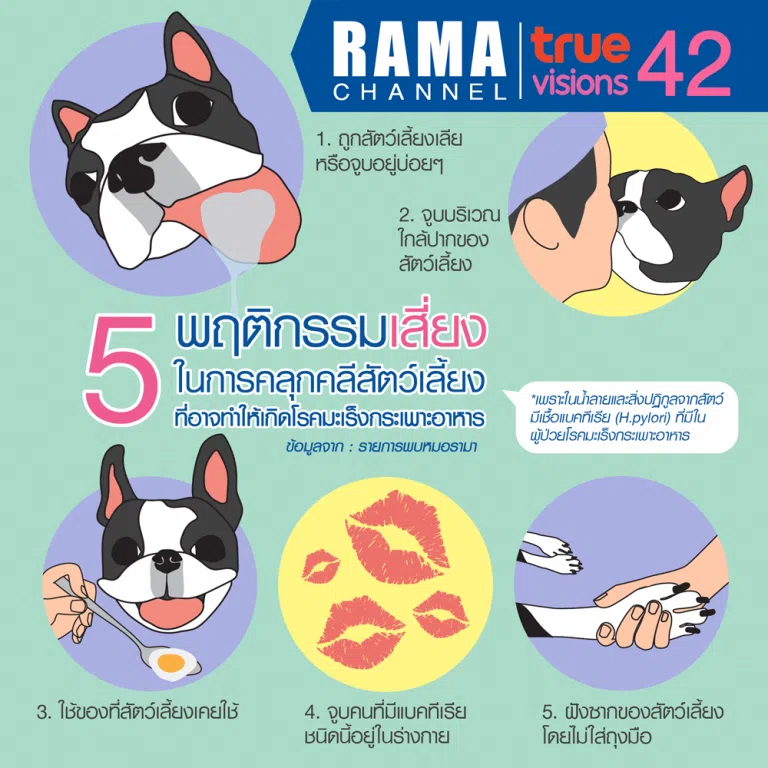 5 พฤติกรรมเสี่ยงในการคลุกคลีสัตว์เลี้ยงที่ทำให้เกิด โรคมะเร็งกระเพาะอาหาร