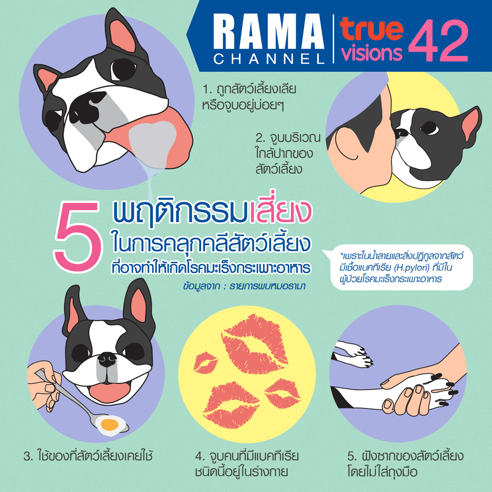 5 พฤติกรรมเสี่ยงในการคลุกคลีสัตว์เลี้ยงที่ทำให้เกิด โรคมะเร็งกระเพาะอาหาร
