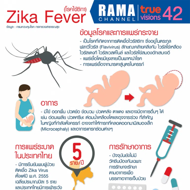 Zika Fever (โรคไข้ซิกา)