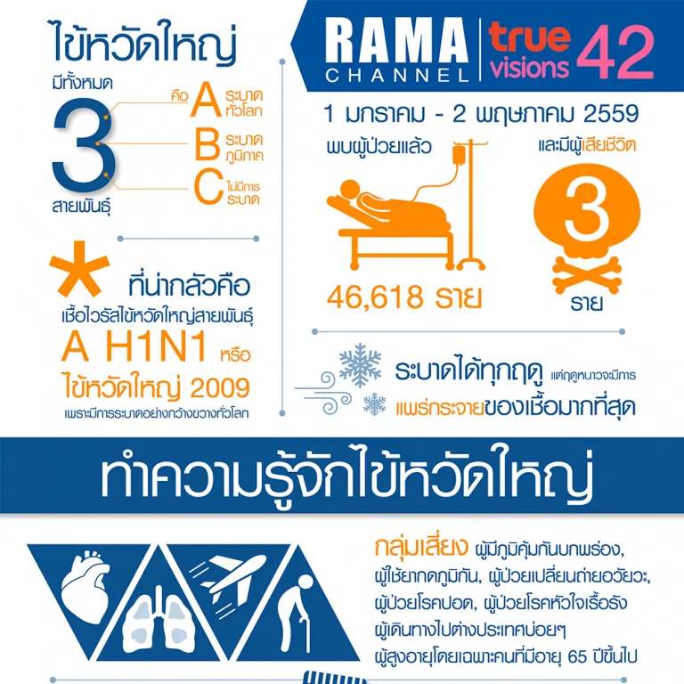 ทำความรู้จัก ไข้หวัดใหญ่