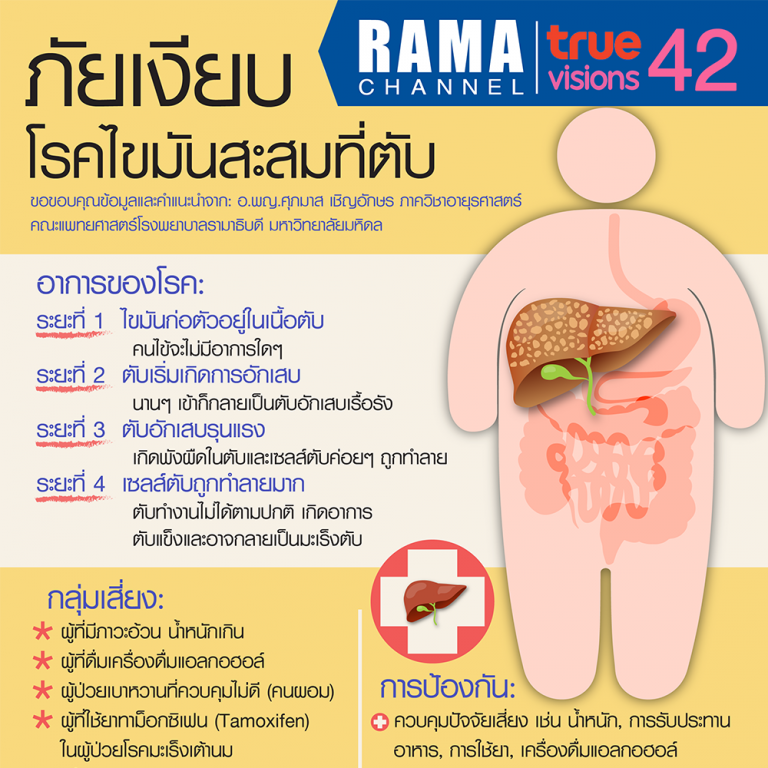 ภัยเงียบ โรคไขมันสะสมที่ตับ