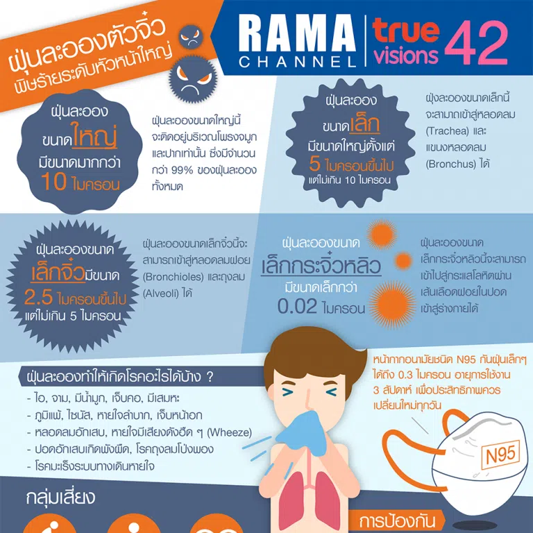 ฝุ่นละออง pm 2.5 ฝุ่นละอองตัวจิ๋ว พิษร้ายระดับหัวหน้าใหญ่