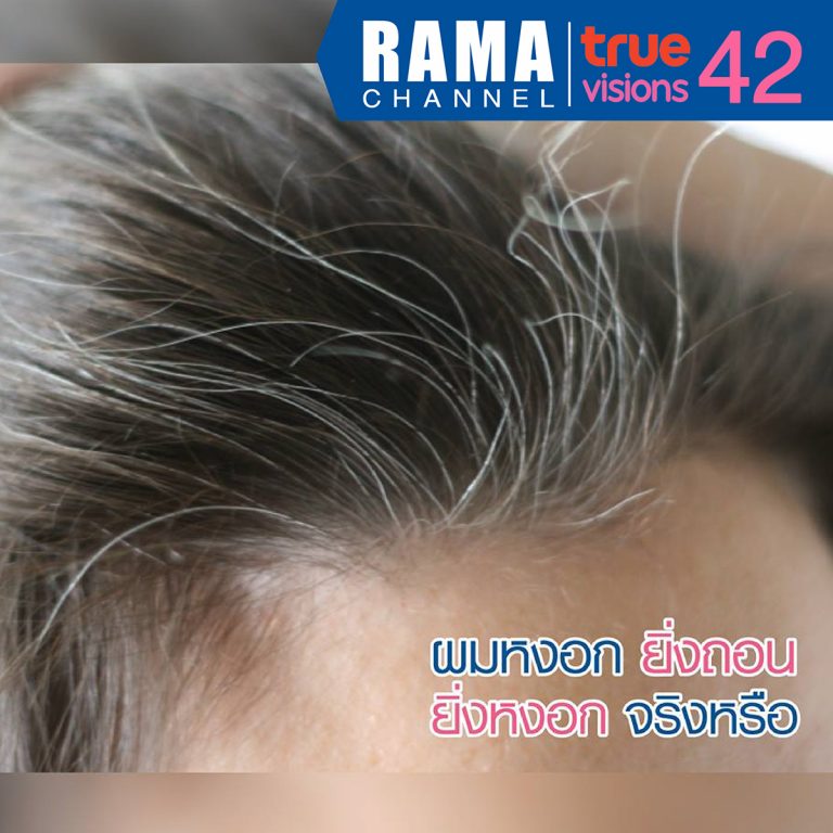 ผมหงอก ยิ่งถอนยิ่งหงอกจริงหรือ