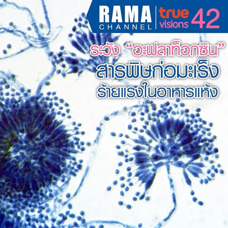 อะฟลาท็อกซิน