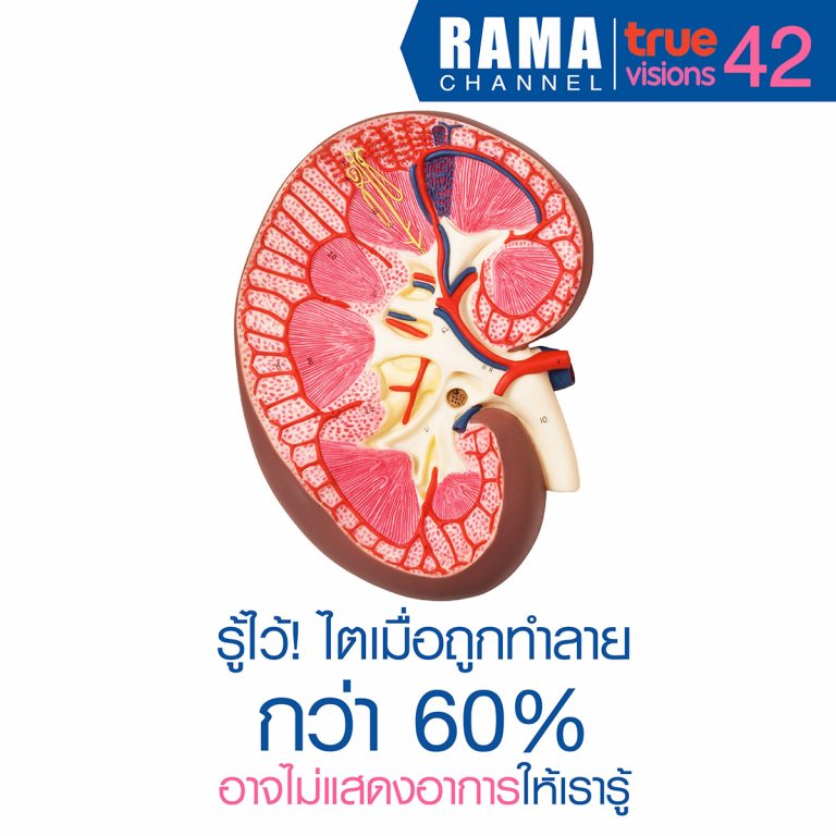 รู้ไว้! ไตเมื่อถูกทำลายกว่า 60% อาจไม่แสดงอาการ โรคไต ให้เรารู้