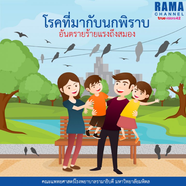 โรคที่มากับนกพิราบ อันตรายร้ายแรงถึงสมอง
