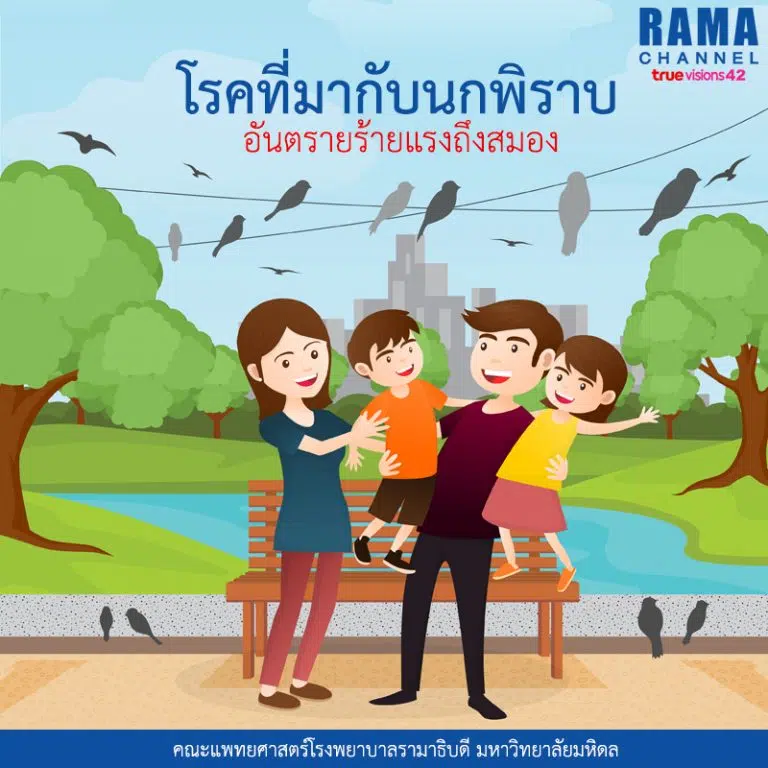 โรคที่มากับนกพิราบ อันตรายร้ายแรงถึงสมอง