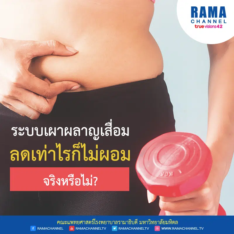 ระบบเผาผลาญเสื่อม ลดเท่าไรก็ไม่ผอม จริงหรือไม่?