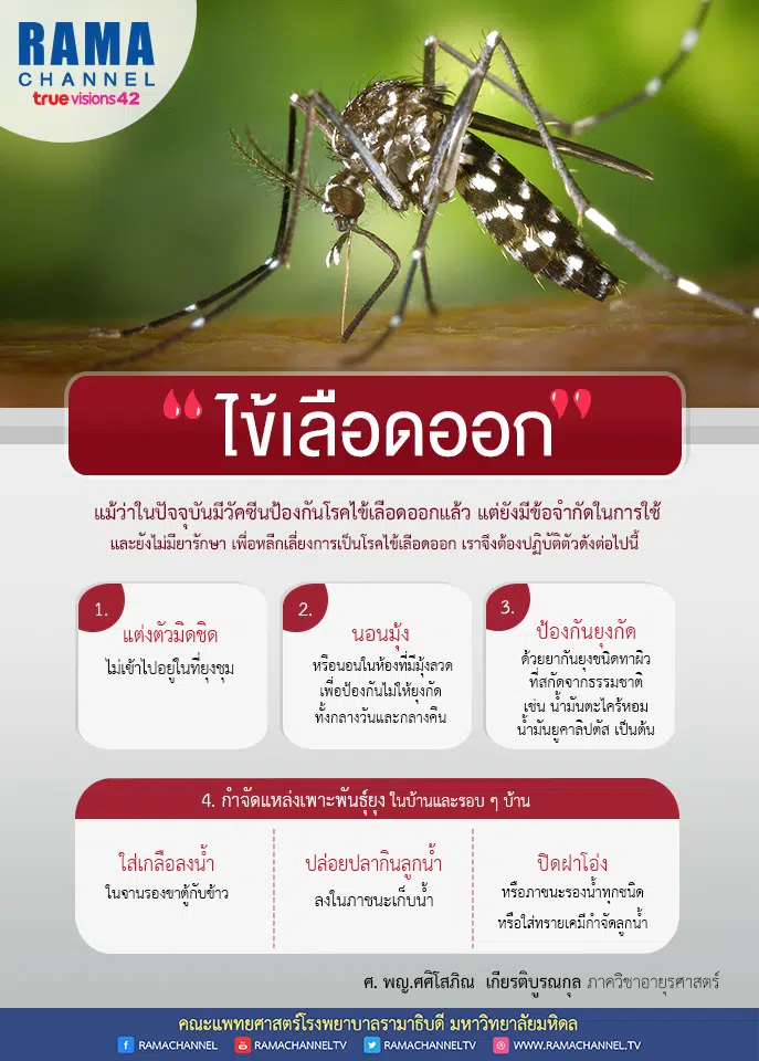ไข้เลือดออก