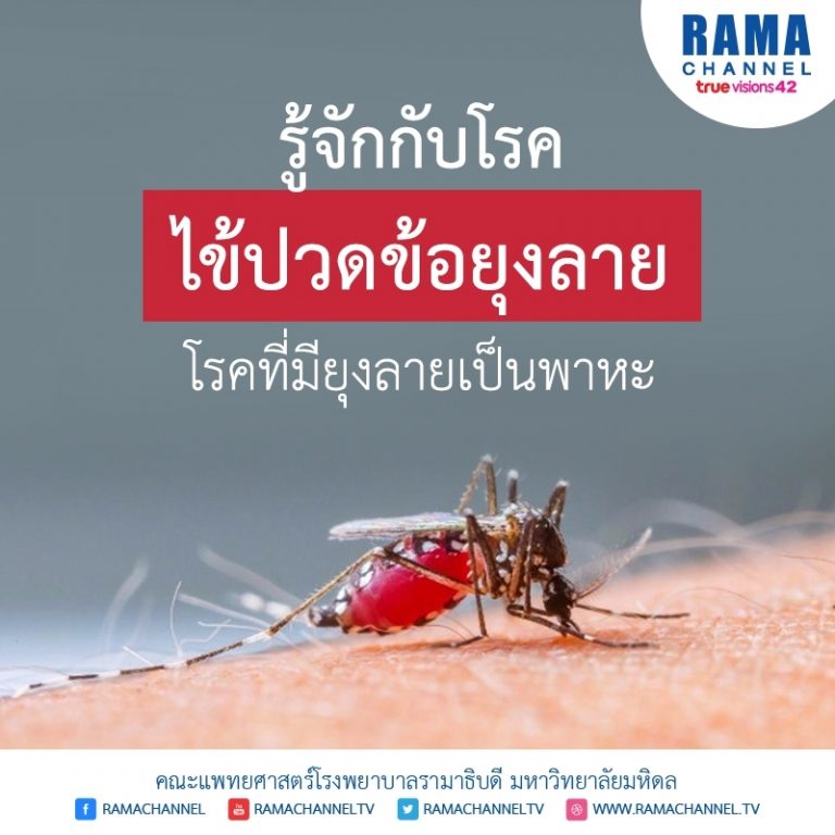 โรคไข้ปวดข้อยุงลาย โรคที่มียุงลายเป็นพาหะ