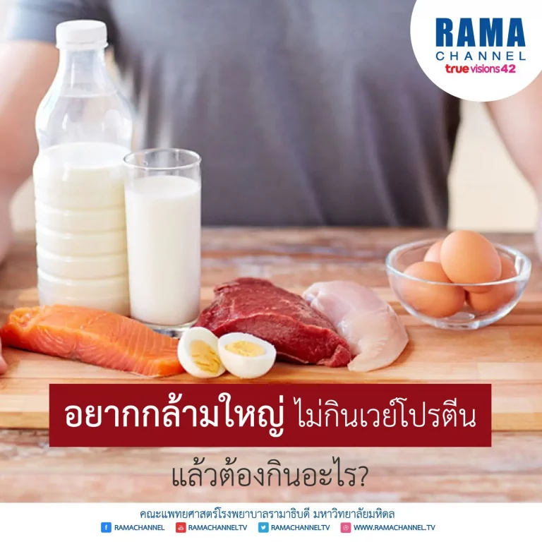 เวย์โปรตีน กล้ามใหญ่