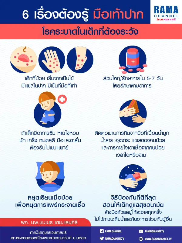 info มือเท้าปาก_พ.ค.62